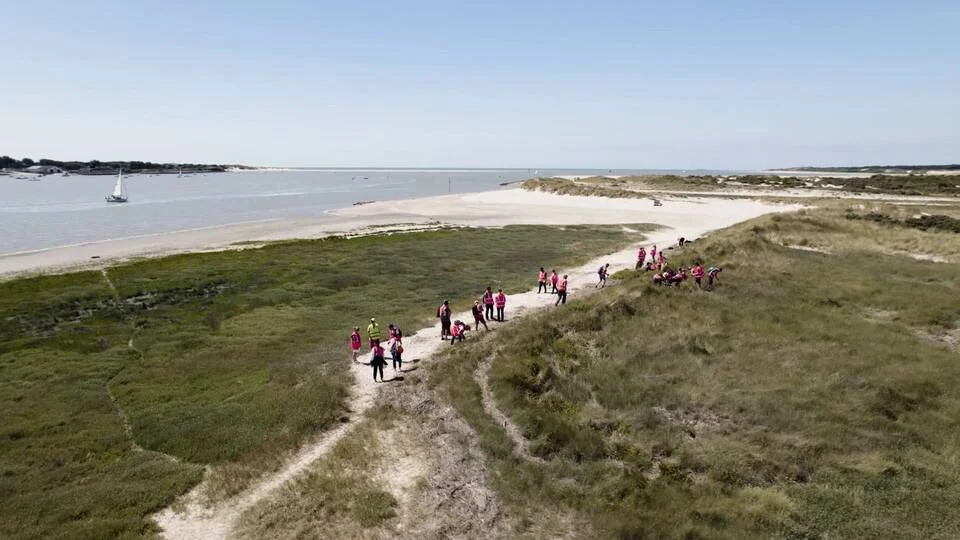 Cleanwalk à Etaples